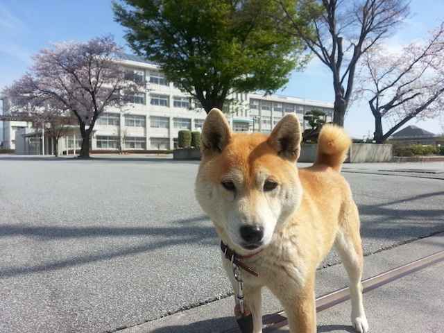 動物から“命の大切さ”を学ぶ