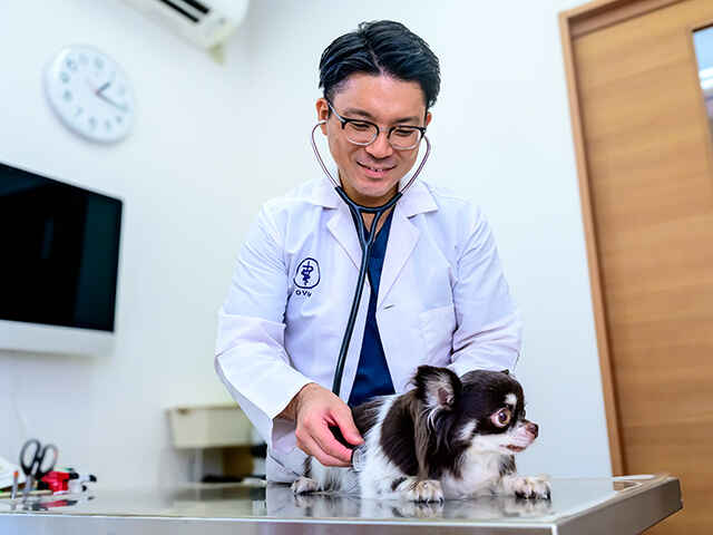 松戸うがた動物病院