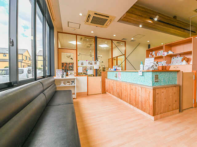 アニファ動物病院 五香病院