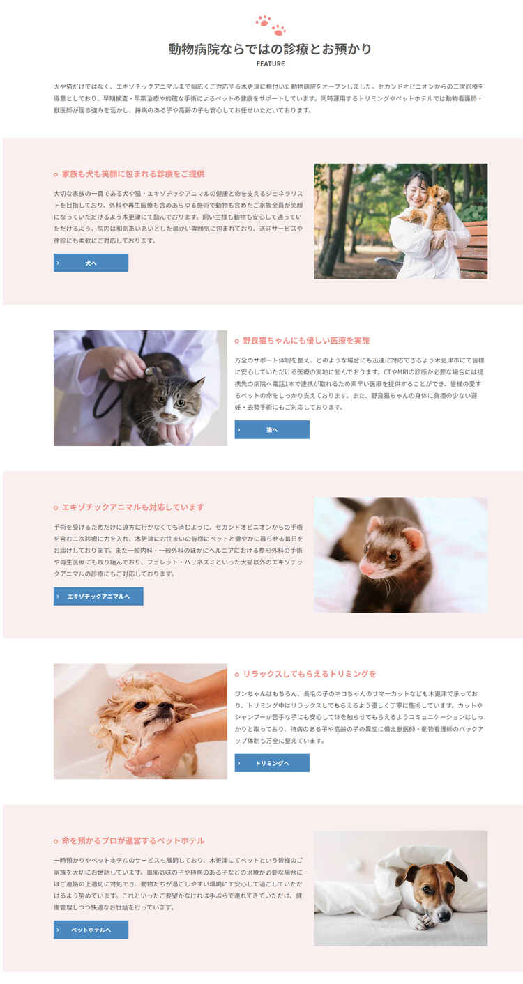 かねだ動物総合病院のお知らせ内容