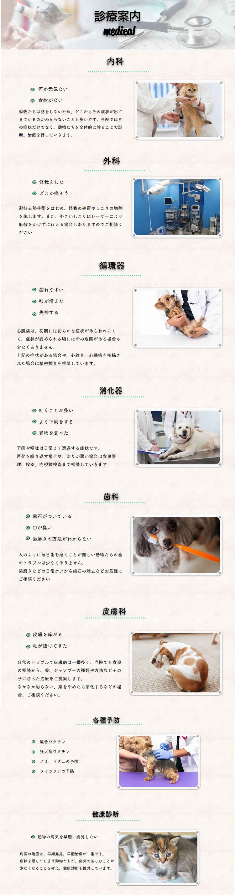 ダイム動物病院のお知らせ内容