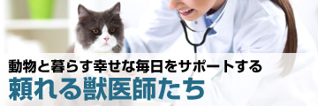 動物と暮らす幸せな毎日をサポートする頼れる獣医師たち